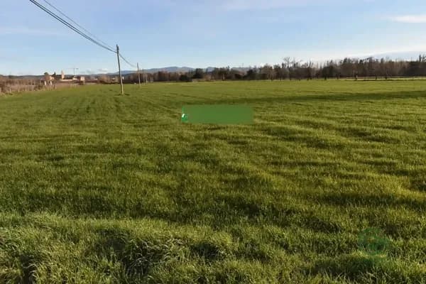 Finca agrícola de 4,09 ha en venta en Ciudad rodrigo, Salamanca
