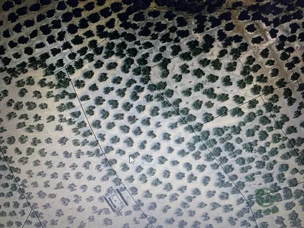 Spot image