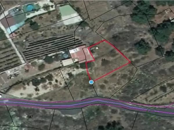 Spot image