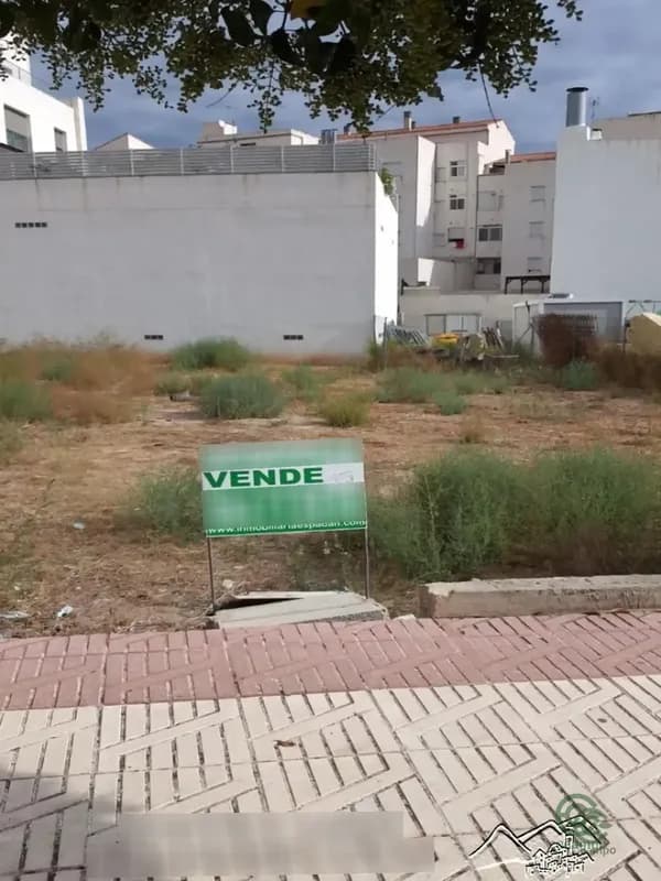 Spot image