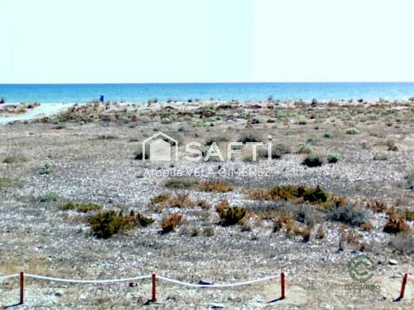 Spot image