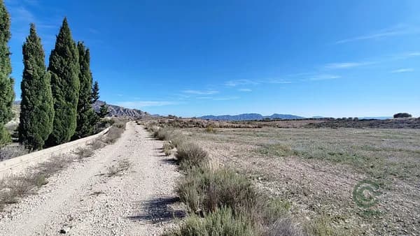 Recreation property of 0,59 ha for sale in Murcia