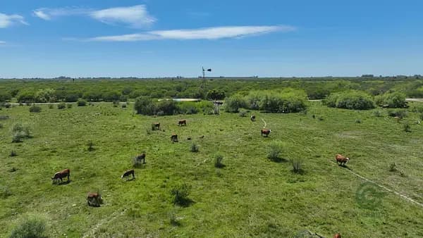 Finca ganadera de 3180 ha en venta en Santa fe