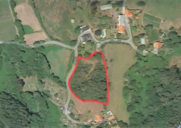 Spot image