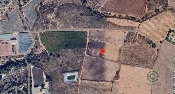 Spot image