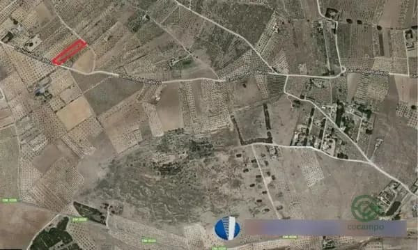 Spot image