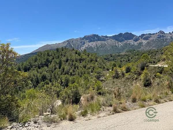 Rustic property of 11,2 ha for sale in Alicante