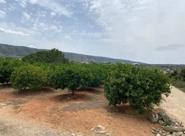Finca agrícola de 8,5 ha en venta en Valencia