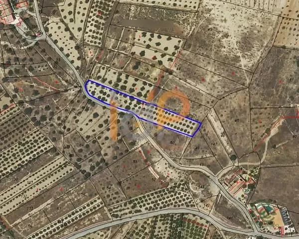 Finca agrícola de 0,3355 ha en venta en Arboleas, Almeria