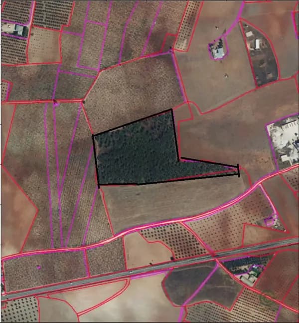 Spot image