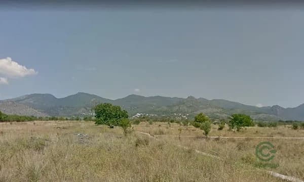 Spot image