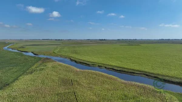 Finca rústica de 243 ha en venta en Buenos aires