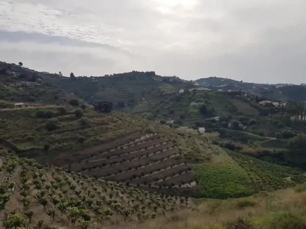 Finca agrícola de 0,95 ha en venta en Torrox, Malaga