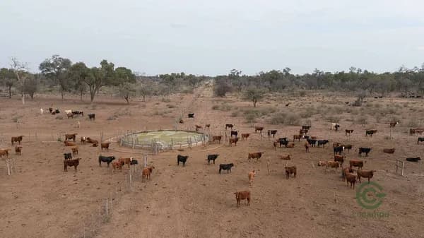 Finca rústica de 1675 ha en venta en Santiago del estero