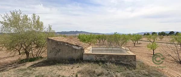 Finca rústica de 0,18 ha en venta en Yecla, Murcia