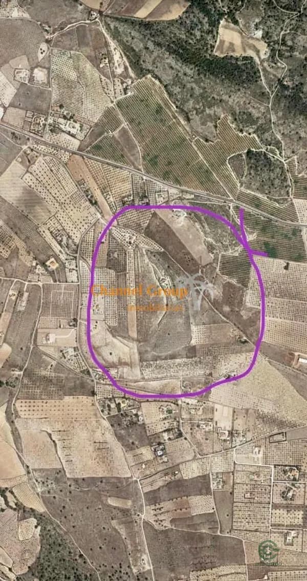 Spot image