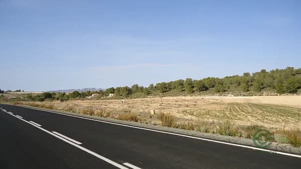 Spot image