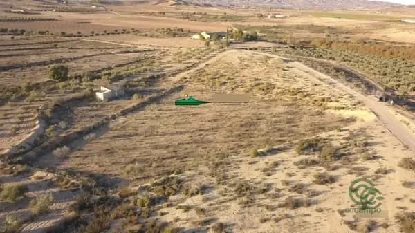 Finca agrícola de 1,0153 ha en venta en Huercal-overa, Almeria