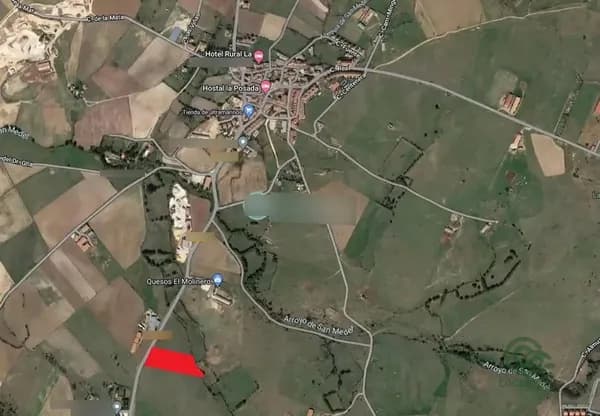 Spot image