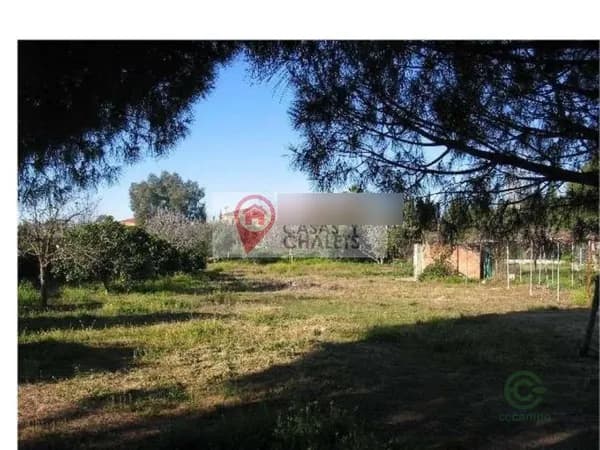 Finca agrícola de 0,156 ha en venta en Córdoba, Córdoba