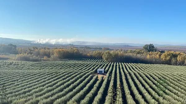 Finca agrícola de 35 ha en venta en Córdoba