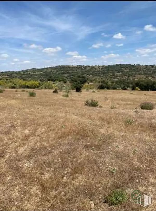 Finca rústica de 40 ha en venta en Madrid