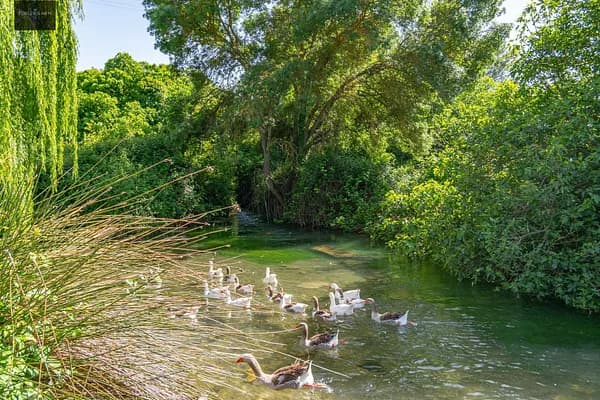 Casa de 0,092 ha en venta en Loja, Granada
