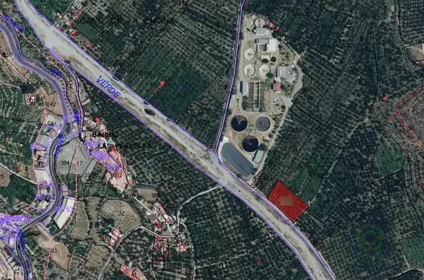 Spot image