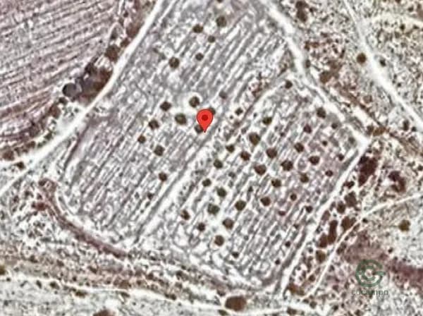 Spot image