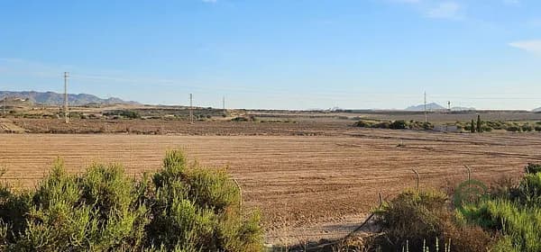 Agricultural property of 3,03 ha for sale in Almeria