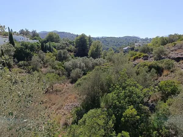 Spot image