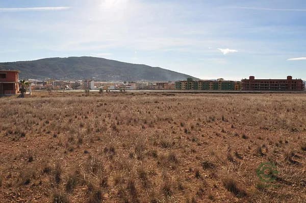 Spot image
