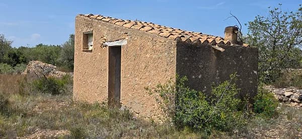 Spot image