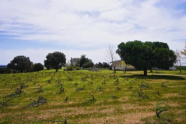 Finca rústica de 37,2826 ha en venta en Topas, Salamanca