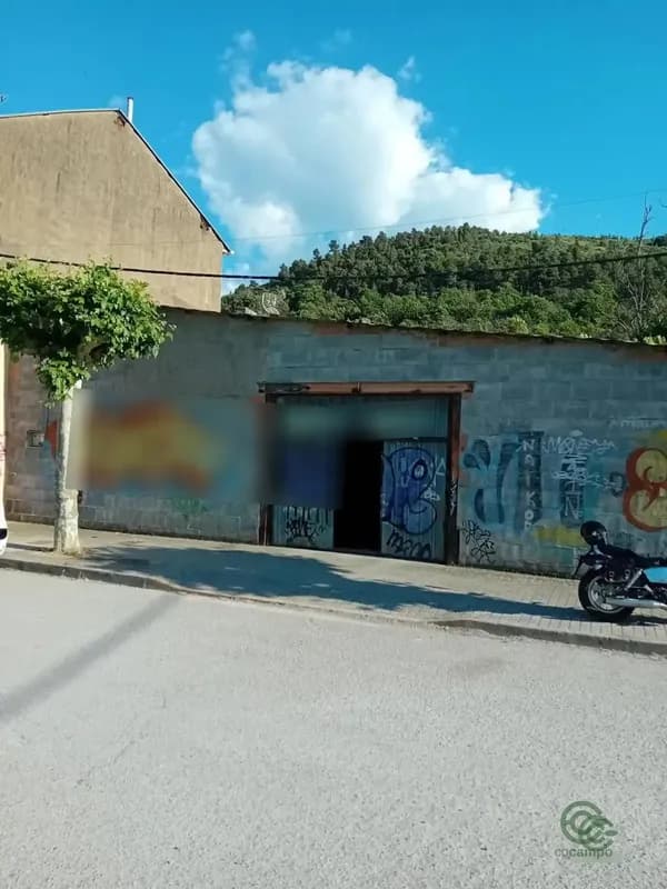 Spot image