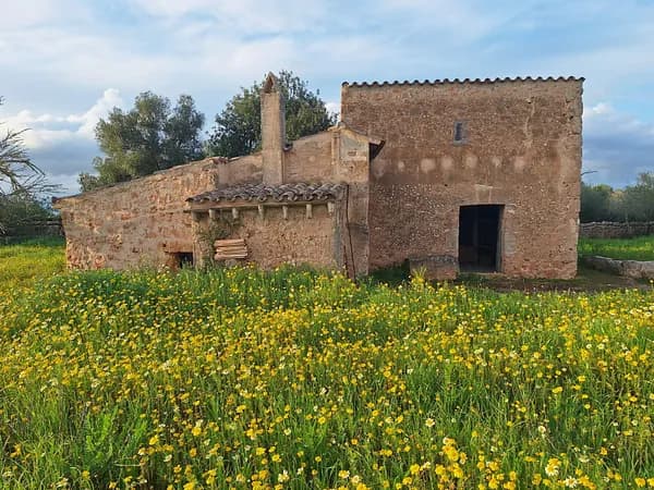 Finca rústica de 2,22 ha en venta en Baleares