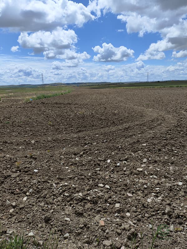 Finca agrícola de 2 ha en venta en Madrid