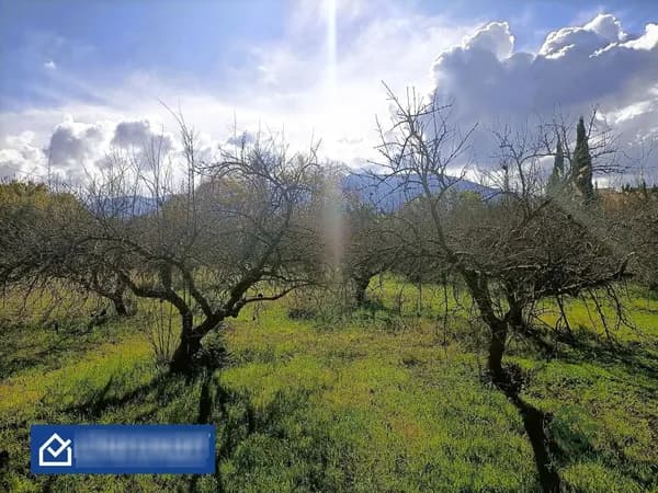 Agricultural property of 0,3 ha for sale in Malaga