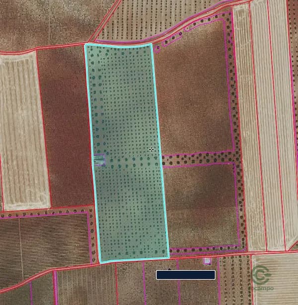 Finca agrícola de 6,1124 ha en venta en Valdepenas, Ciudad real