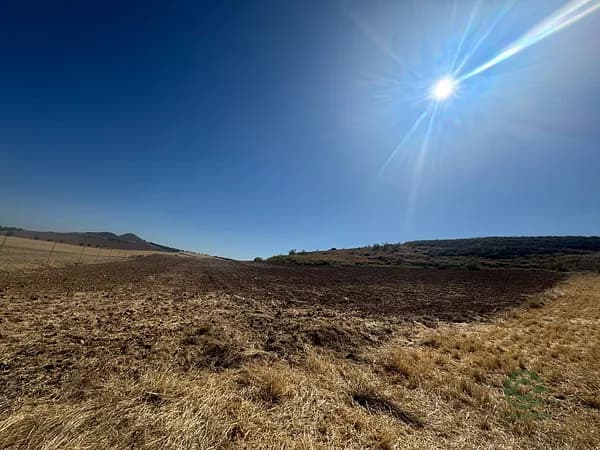 Finca agrícola de 3,3 ha en venta en Madrid