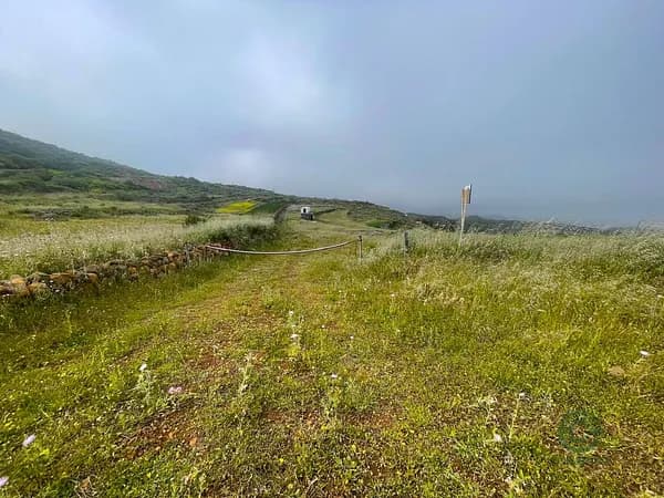 Finca agrícola de 2 ha en venta en Las palmas