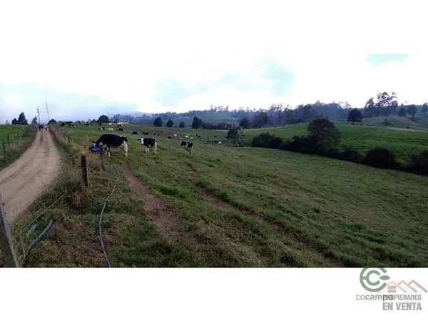 Finca rústica de 0,2662 ha en venta en Antioquia