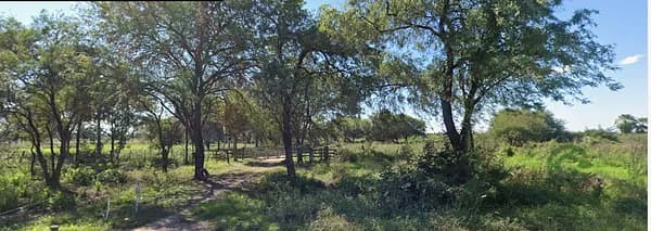 Finca ganadera de 309 ha en venta en Formosa