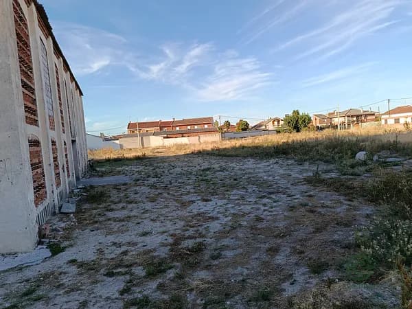 Spot image