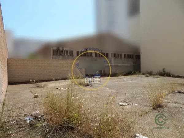 Spot image