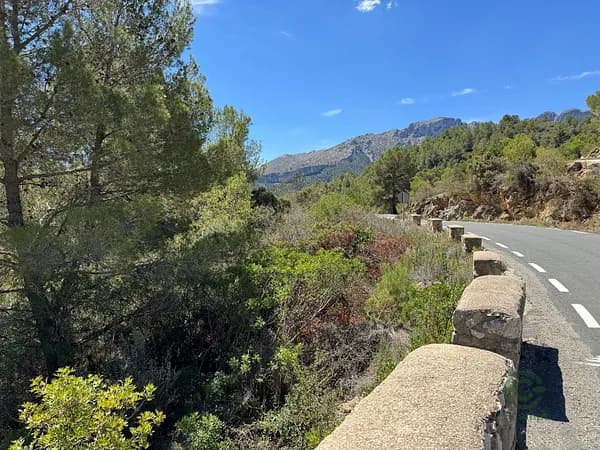 Agricultural property of 1,73 ha for sale in Alicante