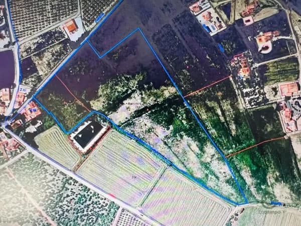 Finca agrícola de 4,6608 ha en venta en Callosa de segura, Alicante