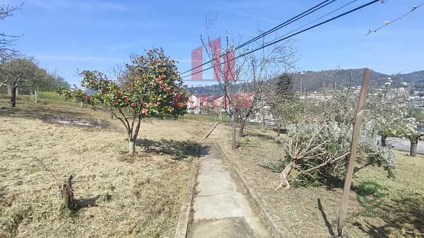 Casa de 0,2503 ha en venta en Ourense, Orense