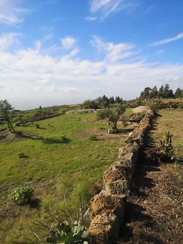 Finca agrícola de 1,5 ha en venta en Tenerife