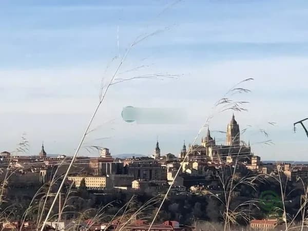 Spot image
